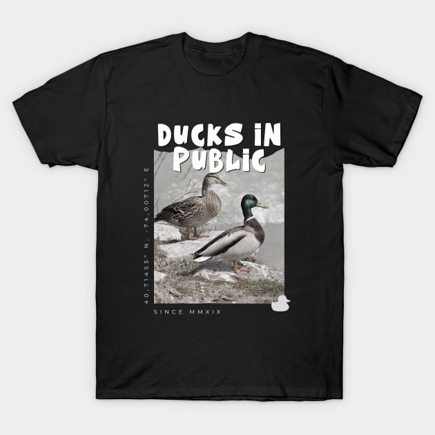 Ducks In Public. T-Shirt by DucksInPublic